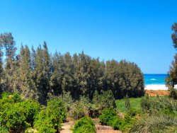 Argaka Beachfront Villa