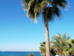 Paphos Beachfront